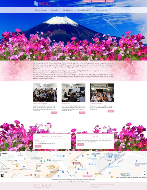 Theme wordpress xkld 6