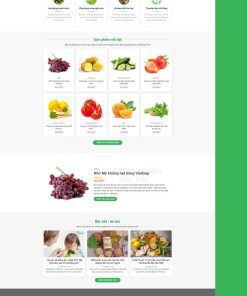 Theme wordpress bán nông sản 2