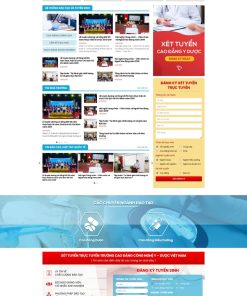 Theme wordpress web trường học y dược
